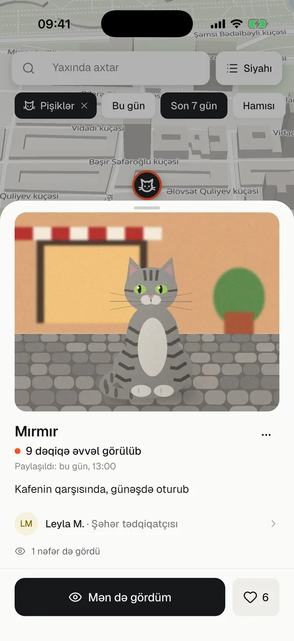 Карточка кошки: Мырмыр у кафе